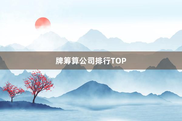 牌筹算公司排行TOP